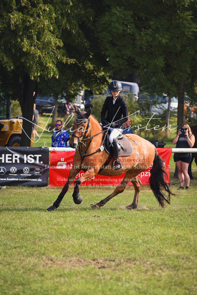 DSC_8856 | Pferde- und Turnierfotografie in Westsachsen. Pferdeportraits, Auftragszeichnungen und intuitive Kunst.