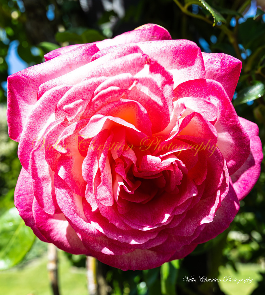 DR 5 | Christian Vulin  - Realisiert mit Pictrs.com