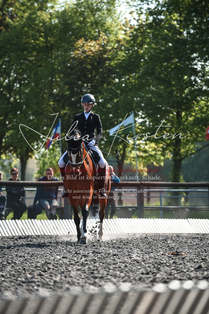 DSC_8649 | Pferde- und Turnierfotografie in Westsachsen. Pferdeportraits, Auftragszeichnungen und intuitive Kunst.