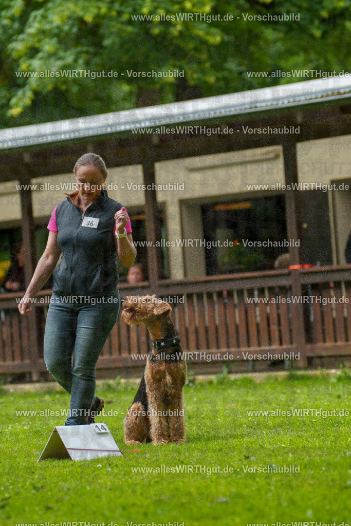 @allesWIRTHgut_Tierfotografie - www.allesWIRTHgut.de - 124017-7R509276 | Professionelle Tierfotografie in Mönchengladbach von Daniel Wirth (allesWIRTHgut). Liebevolle & natürliche Bilder von Hunden & Katzen für unvergessliche Erinnerungen.