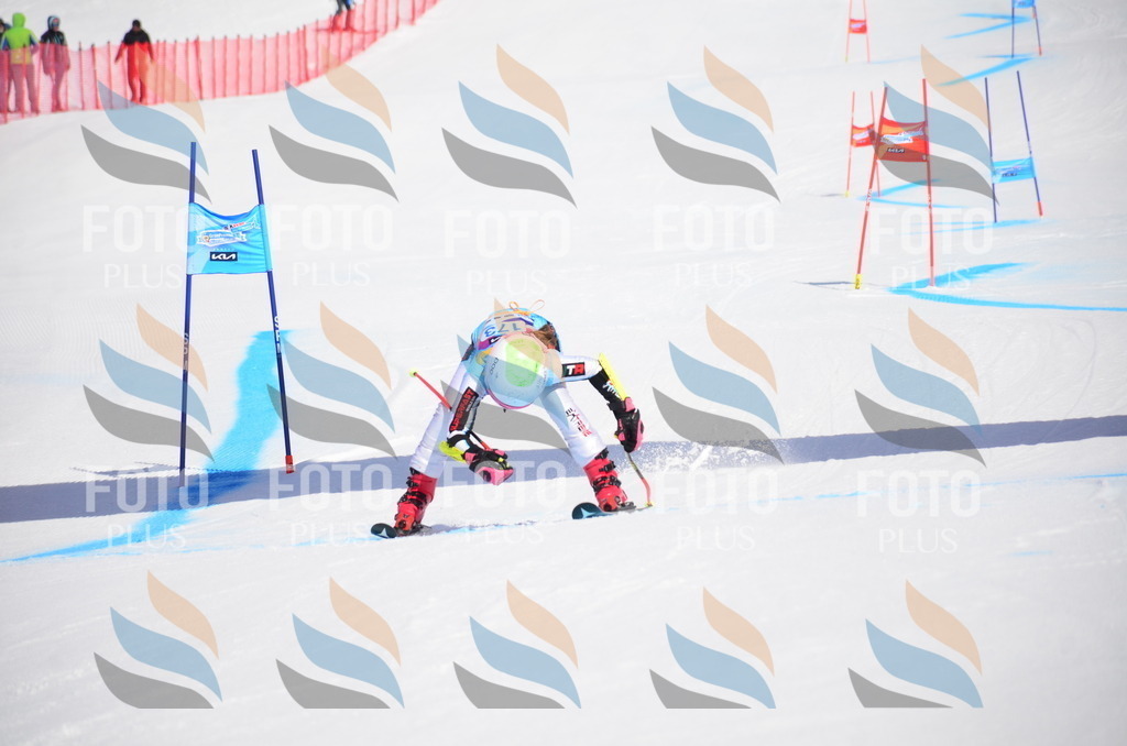 VR4_0073 | holidayphoto