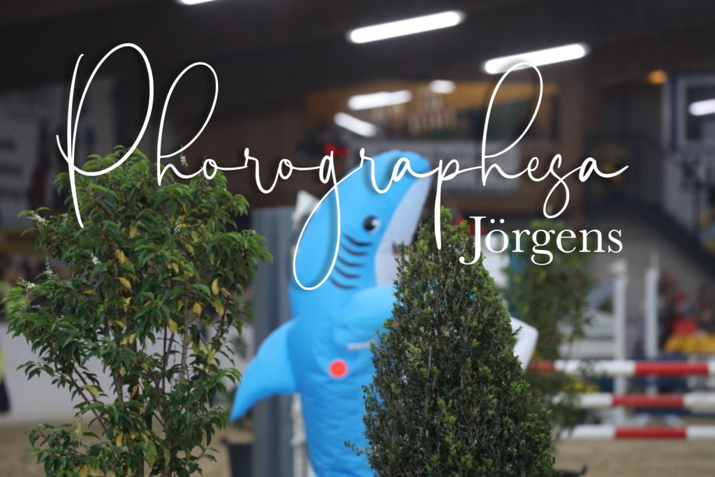 IMG_1888 | photographesa-joergens - Realisiert mit Pictrs.com