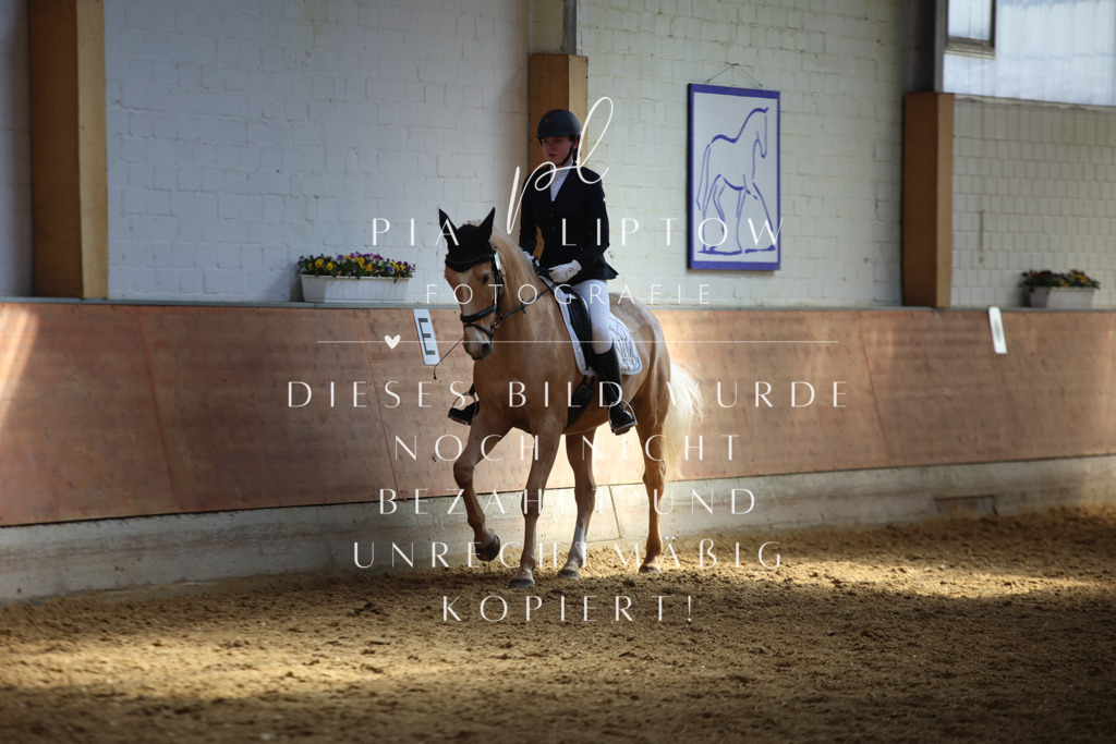 IMGT7271 | pl-fotografie