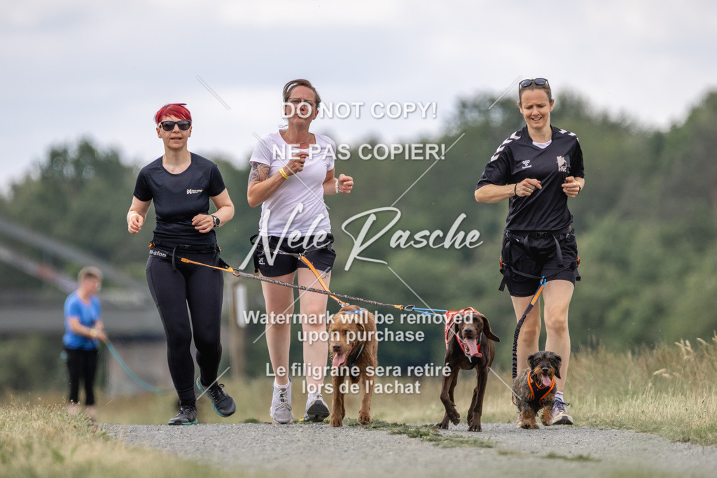 nelerasche_BuHu2026_SaCC1100-1200_231 | nelerasche