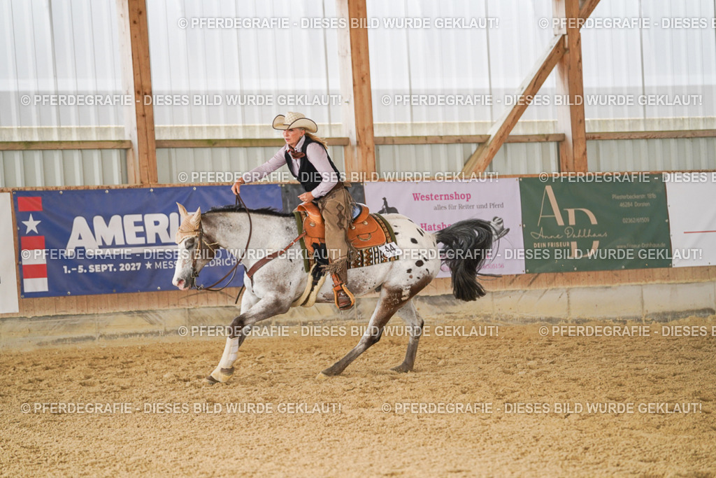 DSC01965 | Pferdegrafie