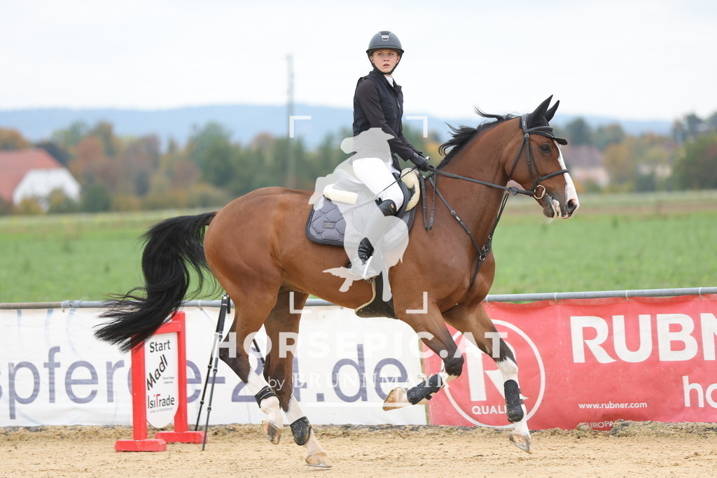 0P6A2904 | Willkommen bei Brunnmayr - Design & Fotografie – Ihrem Spezialisten für Reitturniere und Pferdeveranstaltungen in Oberösterreich, Salzburg und Bayern! Seit über 17 Jahren sind wir leidenschaftlich dabei.