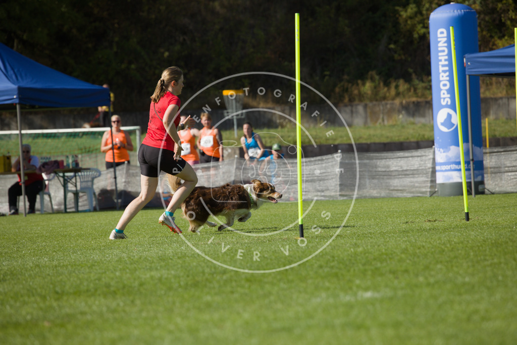 0L8A8745 | Hundefotografie, Tierfotograf, Pfotenfotografie, Fotoshooting Hund, Hunde Portrait, Hundesport, Hundeportraits, Heideshooting, Hunde, Sportfotograf, Hundefotograf, Turnierhundsport, THS,  - Realisiert mit Pictrs.com