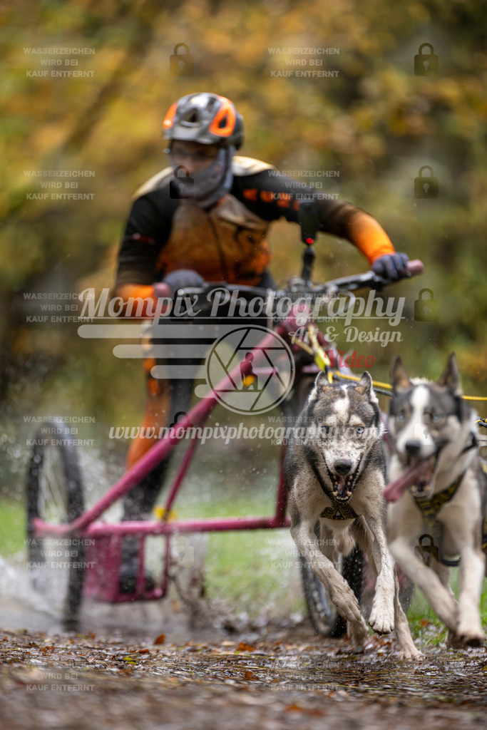 MompixPhotography_Bischwiller23_Kart-1 | PayLife