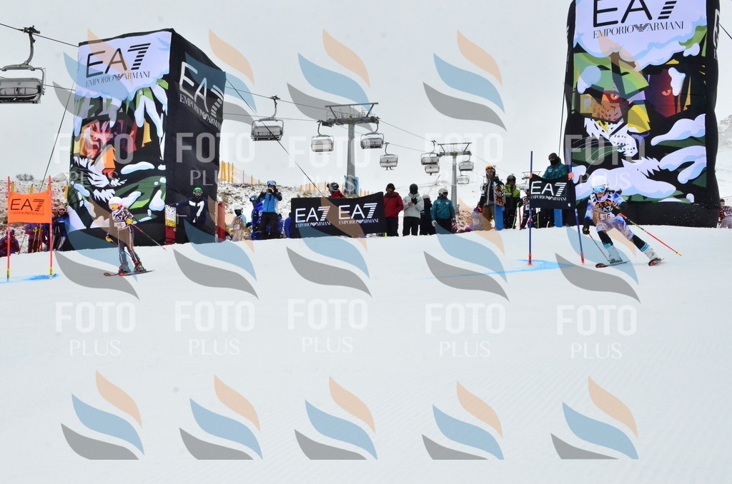 _ELE3356 | holidayphoto