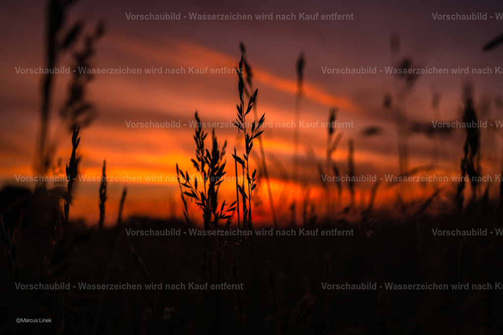 DSC07312-5 | marcuslinek