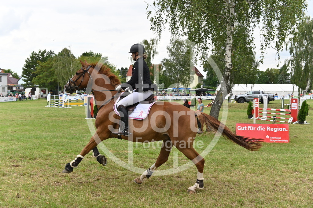 DSC_3486 | sattelsport - Realisiert mit Pictrs.com