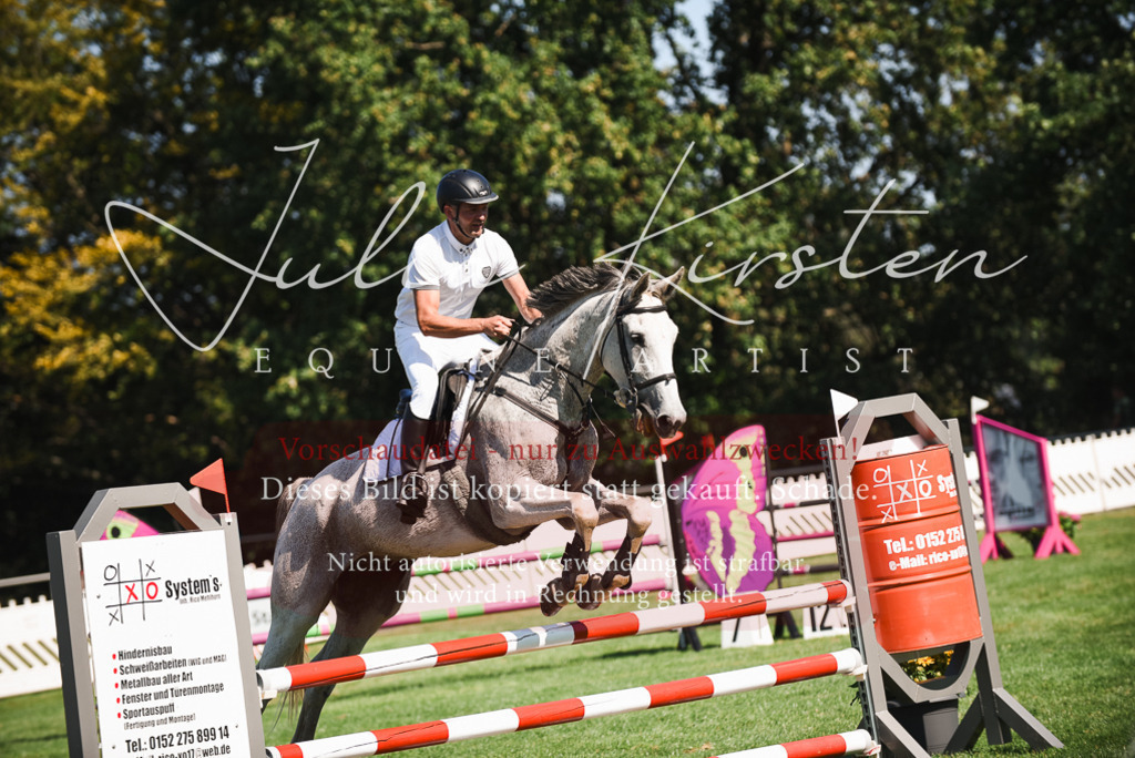 DSC_2699 | Pferde- und Turnierfotografie in Westsachsen. Pferdeportraits, Auftragszeichnungen und intuitive Kunst.