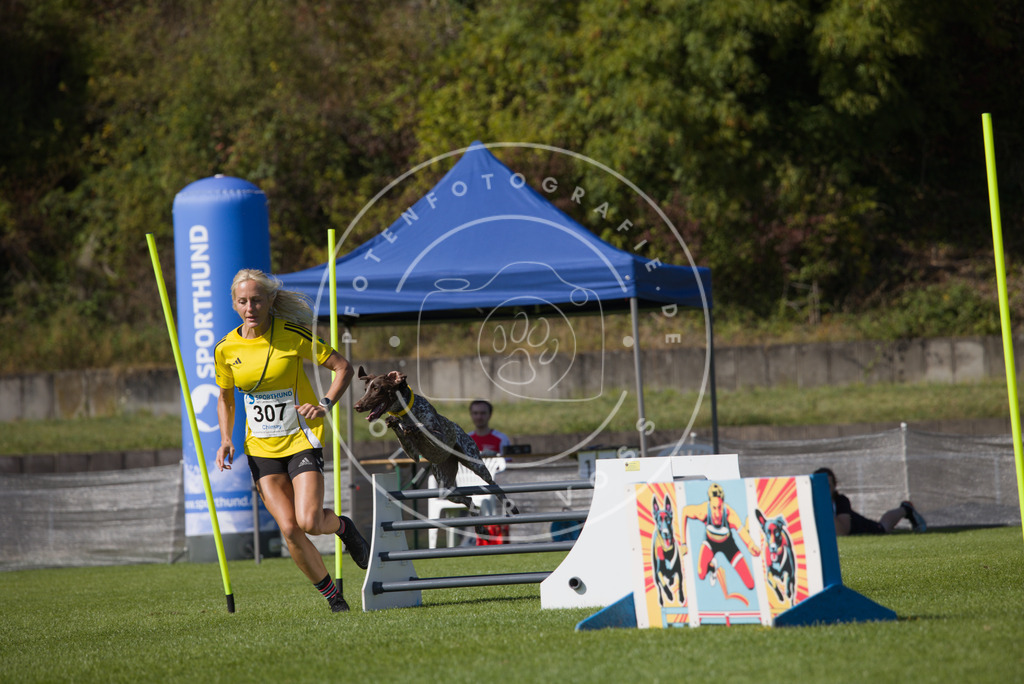 0L8A7796 | Hundefotografie, Tierfotograf, Pfotenfotografie, Fotoshooting Hund, Hunde Portrait, Hundesport, Hundeportraits, Heideshooting, Hunde, Sportfotograf, Hundefotograf, Turnierhundsport, THS,  - Realisiert mit Pictrs.com