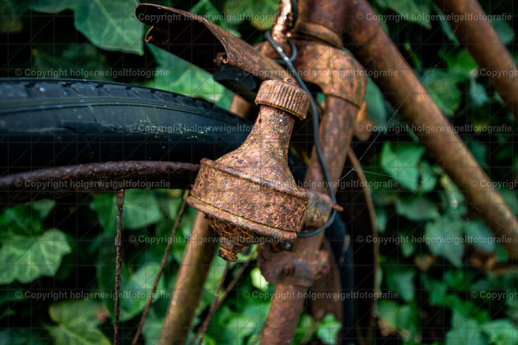 20221008085117D75_0697 | Kaufen sie online außergewöhnliche Fotografien auf Leinwand Acrylglas Fotoprint Aludibond von holgerweigeltfotografie - Realisiert mit Pictrs.com