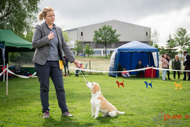 Clubsiegershow BCS  | Clubsiegershow BCS in Villmergen. 14.05.2023 Foto: Leo Wyden