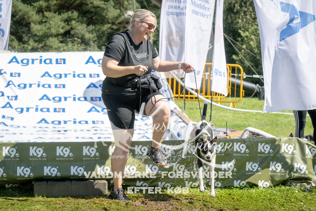 1156_ZZ94651 | kk-dogfotos