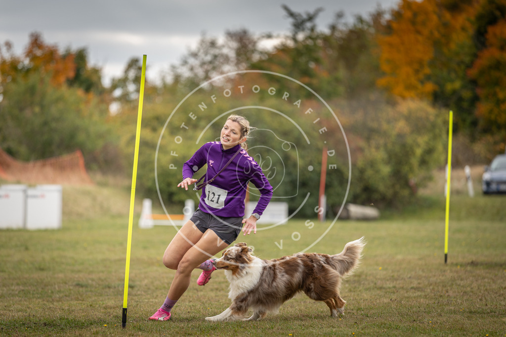 Pfotenfotografie_DV3A7657 | Hundefotografie, Tierfotograf, Pfotenfotografie, Fotoshooting Hund, Hunde Portrait, Hundesport, Hundeportraits, Heideshooting, Hunde, Sportfotograf, Hundefotograf, Turnierhundsport, THS,  - Realisiert mit Pictrs.com