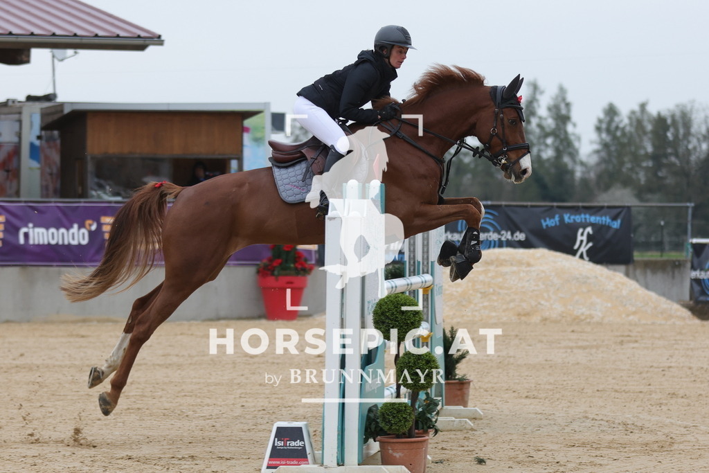 0P6A6651 | Willkommen bei Brunnmayr - Design & Fotografie – Ihrem Spezialisten für Reitturniere und Pferdeveranstaltungen in Oberösterreich, Salzburg und Bayern! Seit über 17 Jahren sind wir leidenschaftlich dabei.