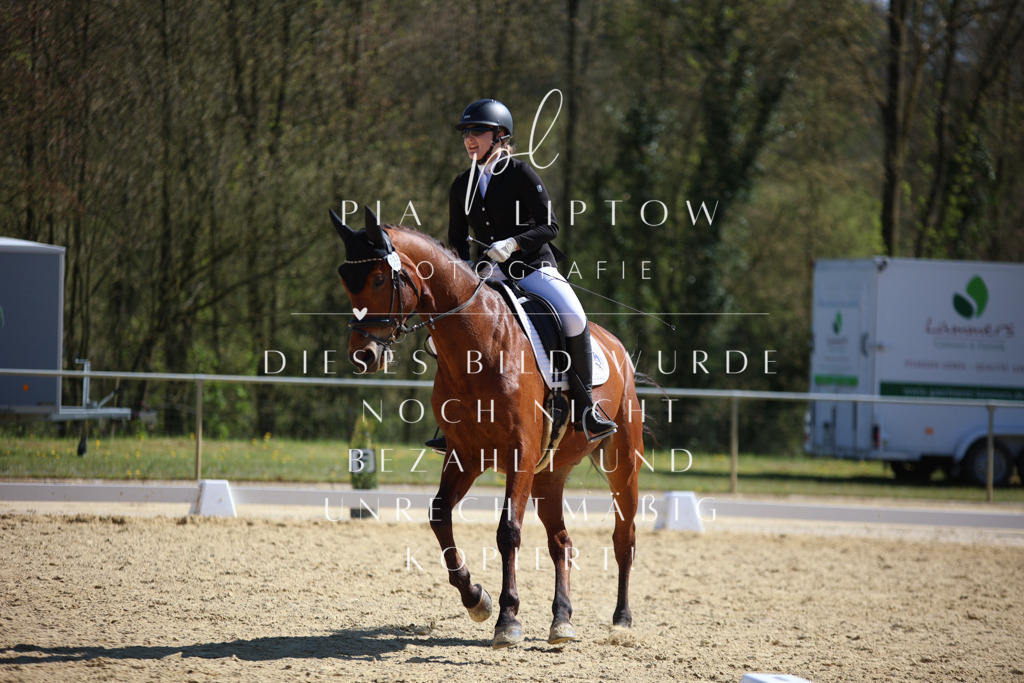 IMGT1963 | pl-fotografie