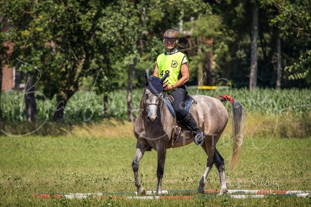 CJP_2026-06-26_48 | Stimmungsvolle Fotografie von Pferden, fotografische Begleitung von Veranstaltungen, Golfturnieren und Distanzritten - Realisiert mit Pictrs.com