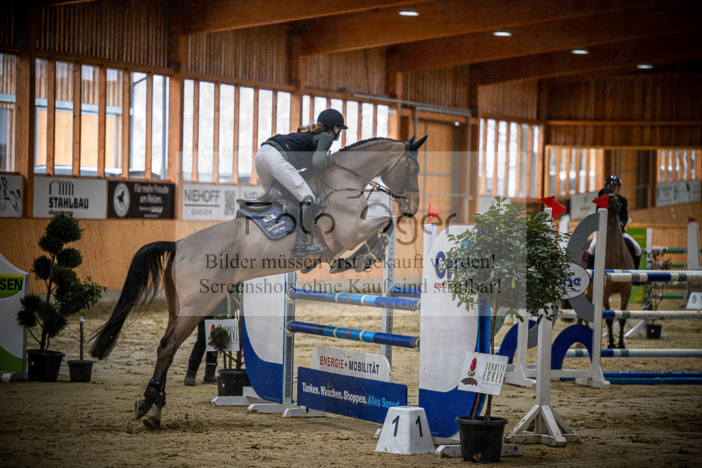 DOS_0657 | Entdecke hochwertige Reitturnierfotos von Foto Oger. Professionell, emotional und authentisch – jetzt Lieblingsmomente im Shop bestellen.Deutschlandweite Turnierfotografie. - Realisiert mit Pictrs.com