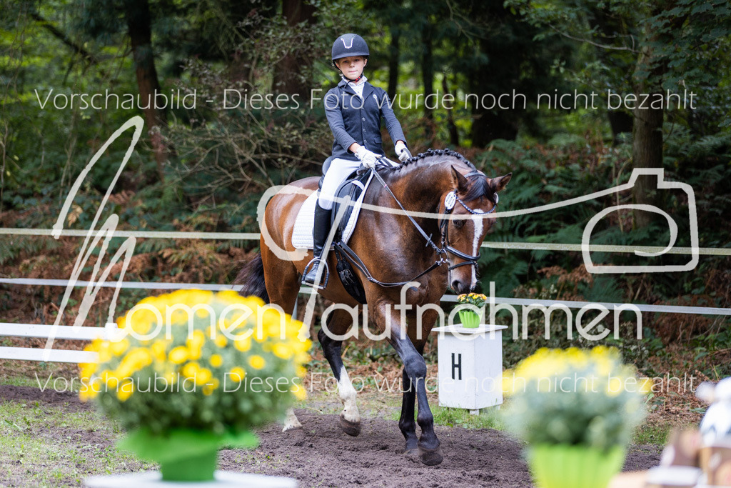 HB-Reiter-WB-017 | MomenTaufnahmen Pferdesportfotos