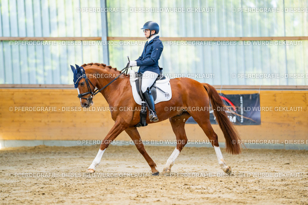 DSC06454 | Pferdegrafie