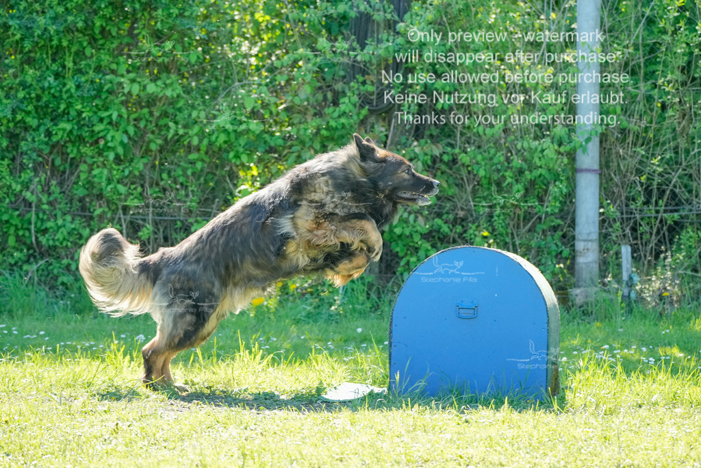 Sa_VK3_03-45 | stephaniefillaphotographie - Realisiert mit Pictrs.com