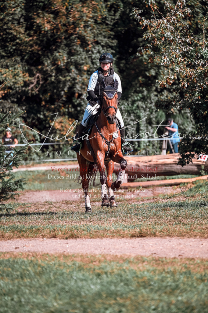 DSC_0744 | Pferde- und Turnierfotografie in Westsachsen. Pferdeportraits, Auftragszeichnungen und intuitive Kunst.