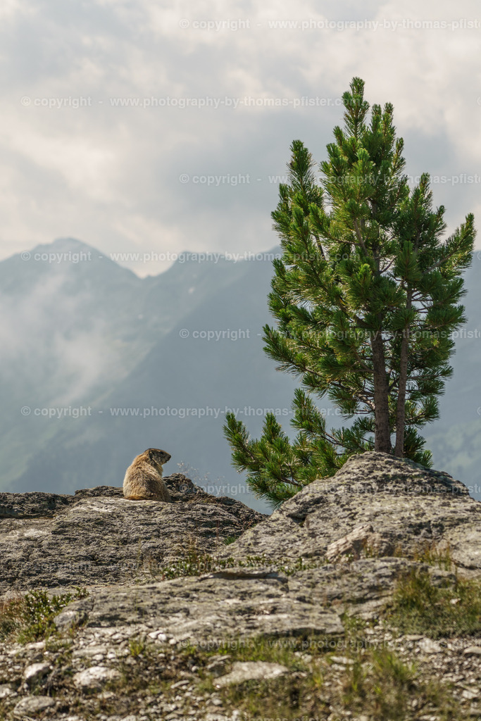 Zillertal Arena Zell am Zillertal copyright  Thomas Pfister-1 | PHOTOGRAPHY BY THOMAS PFISTER