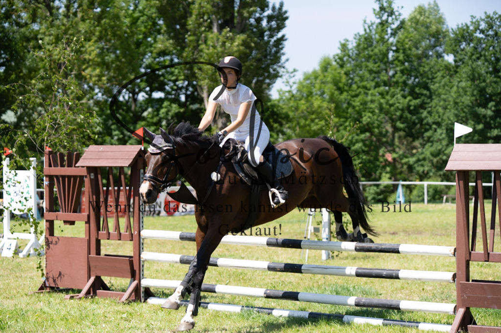 A7V05867 | Pferdefotograf