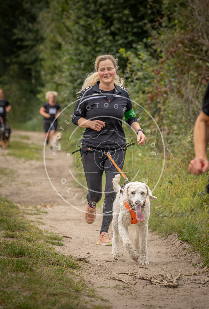 Pfotenfotografie_DV3A7242 | Hundefotografie, Tierfotograf, Pfotenfotografie, Fotoshooting Hund, Hunde Portrait, Hundesport, Hundeportraits, Heideshooting, Hunde, Sportfotograf, Hundefotograf, Turnierhundsport, THS,  - Realisiert mit Pictrs.com