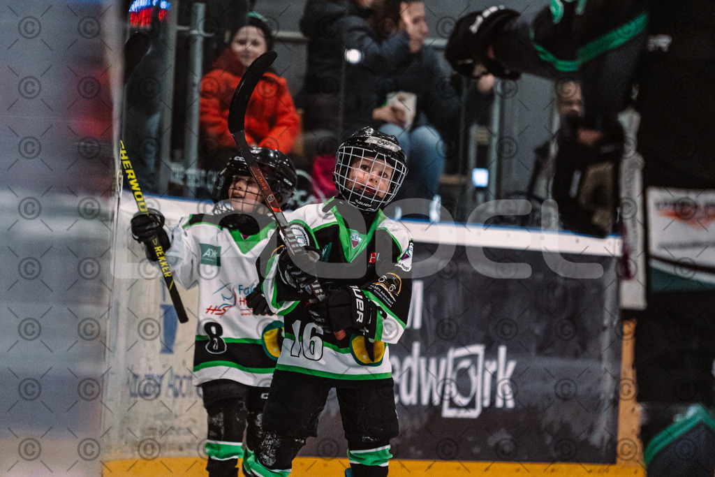 Alligators_vs_Erding_01_02_2026-31 | Höchstadt Alligators Fotogalerie: Eishockey-Action aus Franken. Professionelle Spielfotos, Portraits & Stadionbilder zum Download. Jetzt entdecken! - Realisiert mit Pictrs.com