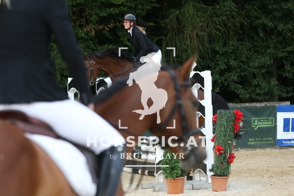 DL2Q0242 | Willkommen bei Brunnmayr - Design & Fotografie – Ihrem Spezialisten für Reitturniere und Pferdeveranstaltungen in Oberösterreich, Salzburg und Bayern! Seit über 17 Jahren sind wir leidenschaftlich dabei.