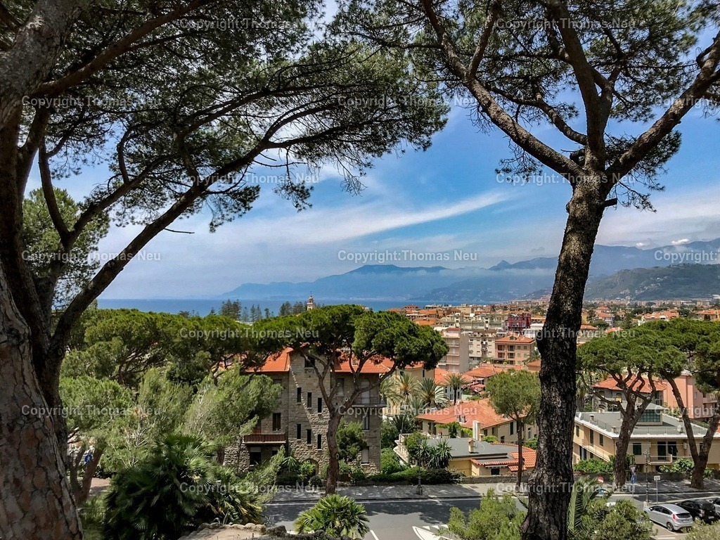 7C85A58E-3B4B-4454-8FE3-82F16D4E6A91 | ,, Bild: Thomas Neu