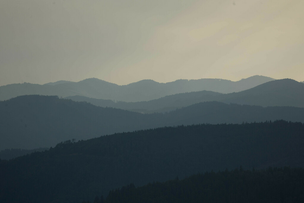 Schwarzwald Fernblick 1 | Sich an die einzigartigen Momente der Natur und Landschaft sowie die Begegnung mit heimischen wilden Tieren zu erinnern, dies kann man anhand den Bilder der Natur und Landschaftsfotografin Sandra Eimermacher.  - Realisiert mit Pictrs.com