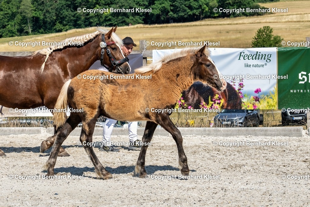 A1S09699 | foto-team-bernhard - Realisiert mit Pictrs.com