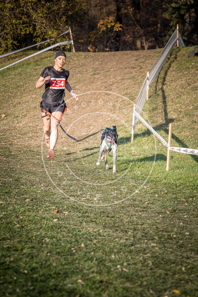 CaniXpix_0L8A9968 | Hundefotografie, Tierfotograf, Pfotenfotografie, Fotoshooting Hund, Hunde Portrait, Hundesport, Hundeportraits, Heideshooting, Hunde, Sportfotograf, Hundefotograf, Turnierhundsport, THS,  - Realisiert mit Pictrs.com