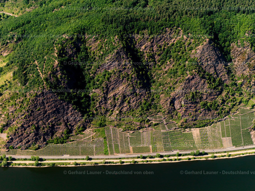 Weinberge-Cochem-Valwig-3114283 | Weinberge zw. Cochem und Valwig