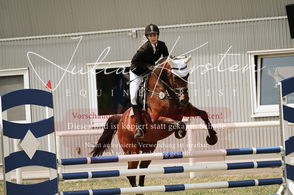 DSC_9383 | Pferde- und Turnierfotografie in Westsachsen. Pferdeportraits, Auftragszeichnungen und intuitive Kunst.