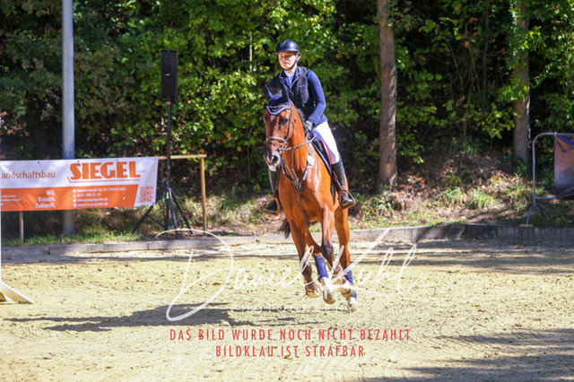 DKP43146 | Turniersportfotografie; Pferdefotografie; Dressurfotografie