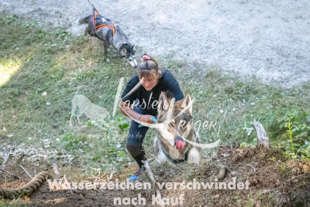 1138_ZZ91129 | kk-dogfotos