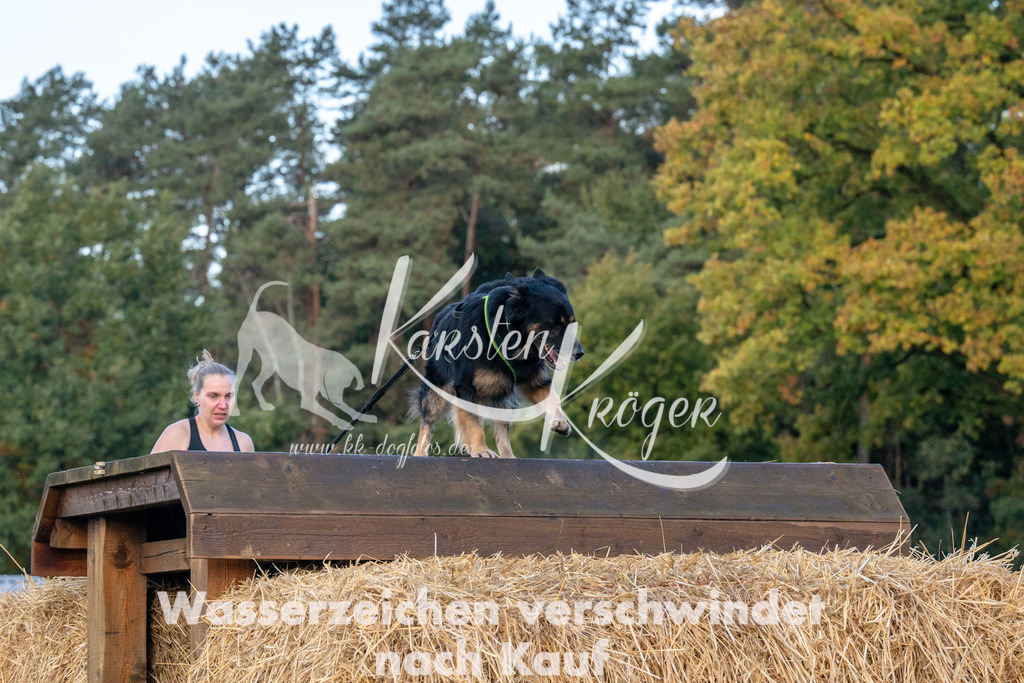 0851_ZZ91590 | kk-dogfotos