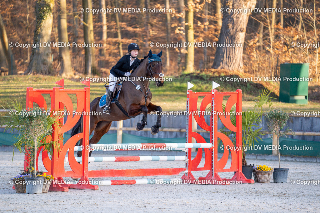 DSC-242 | dv-media-shop - Realisiert mit Pictrs.com