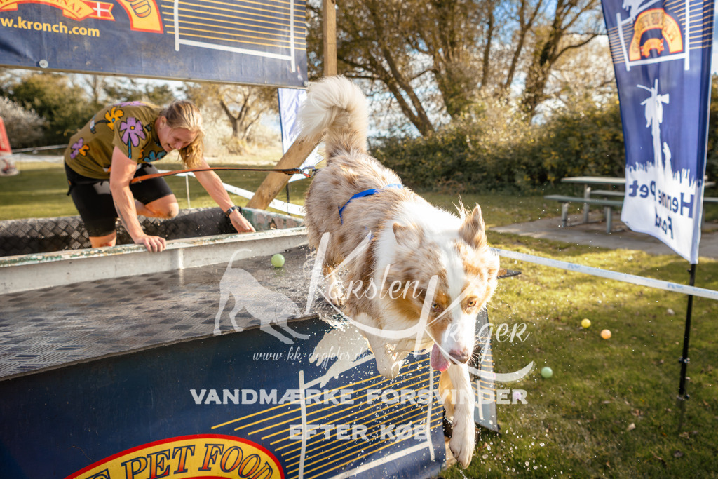 1545_ZZ97002 | kk-dogfotos