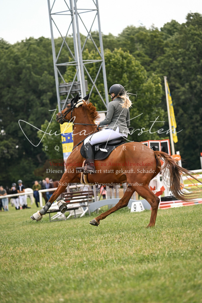 DSC_9120 | Pferde- und Turnierfotografie in Westsachsen. Pferdeportraits, Auftragszeichnungen und intuitive Kunst.