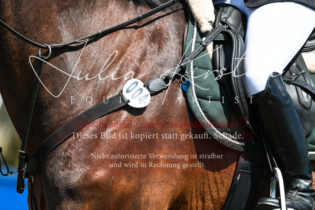 DSC_0149 | Pferde- und Turnierfotografie in Westsachsen. Pferdeportraits, Auftragszeichnungen und intuitive Kunst.