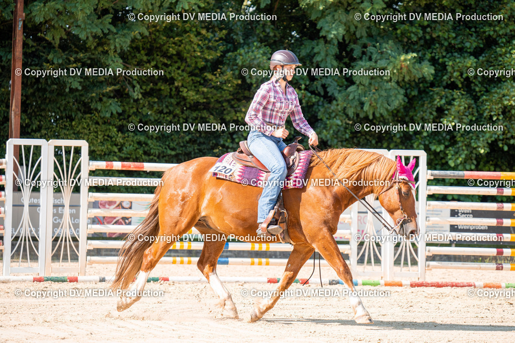 ZH100699 | dv-media-shop - Realisiert mit Pictrs.com