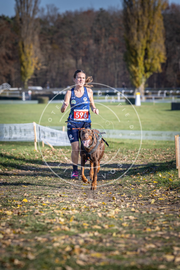 CaniXpix_DV3A9383 | Hundefotografie, Tierfotograf, Pfotenfotografie, Fotoshooting Hund, Hunde Portrait, Hundesport, Hundeportraits, Heideshooting, Hunde, Sportfotograf, Hundefotograf, Turnierhundsport, THS,  - Realisiert mit Pictrs.com