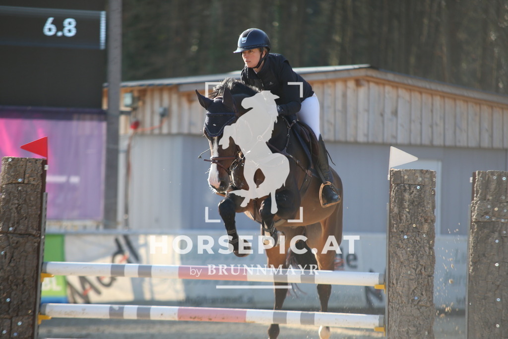 AS8V2618 | Willkommen bei Brunnmayr - Design & Fotografie – Ihrem Spezialisten für Reitturniere und Pferdeveranstaltungen in Oberösterreich, Salzburg und Bayern! Seit über 17 Jahren sind wir leidenschaftlich dabei.
